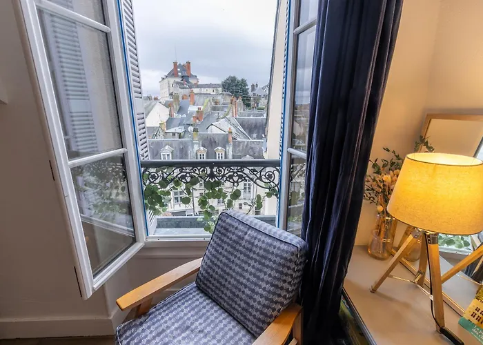 ☆ Sur les toits de Blois ☆ T2 avec vue Château